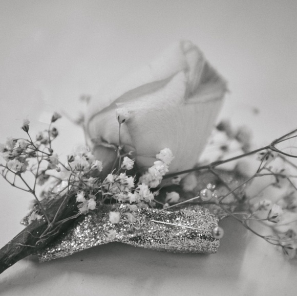 Time to Meet your Posher, Crystal - Picture 4 of 8